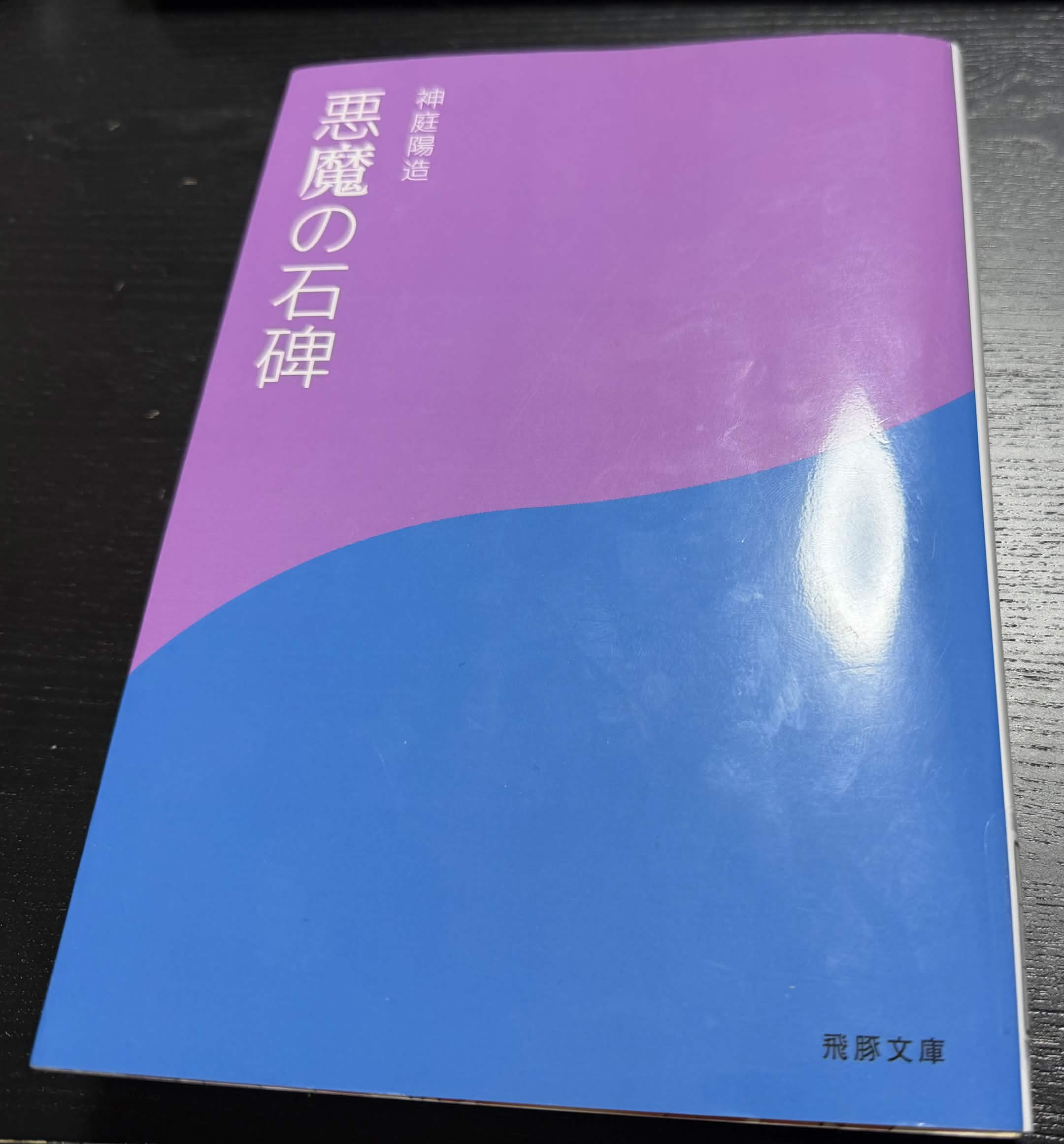 ゲーム2で得られた本の画像 1