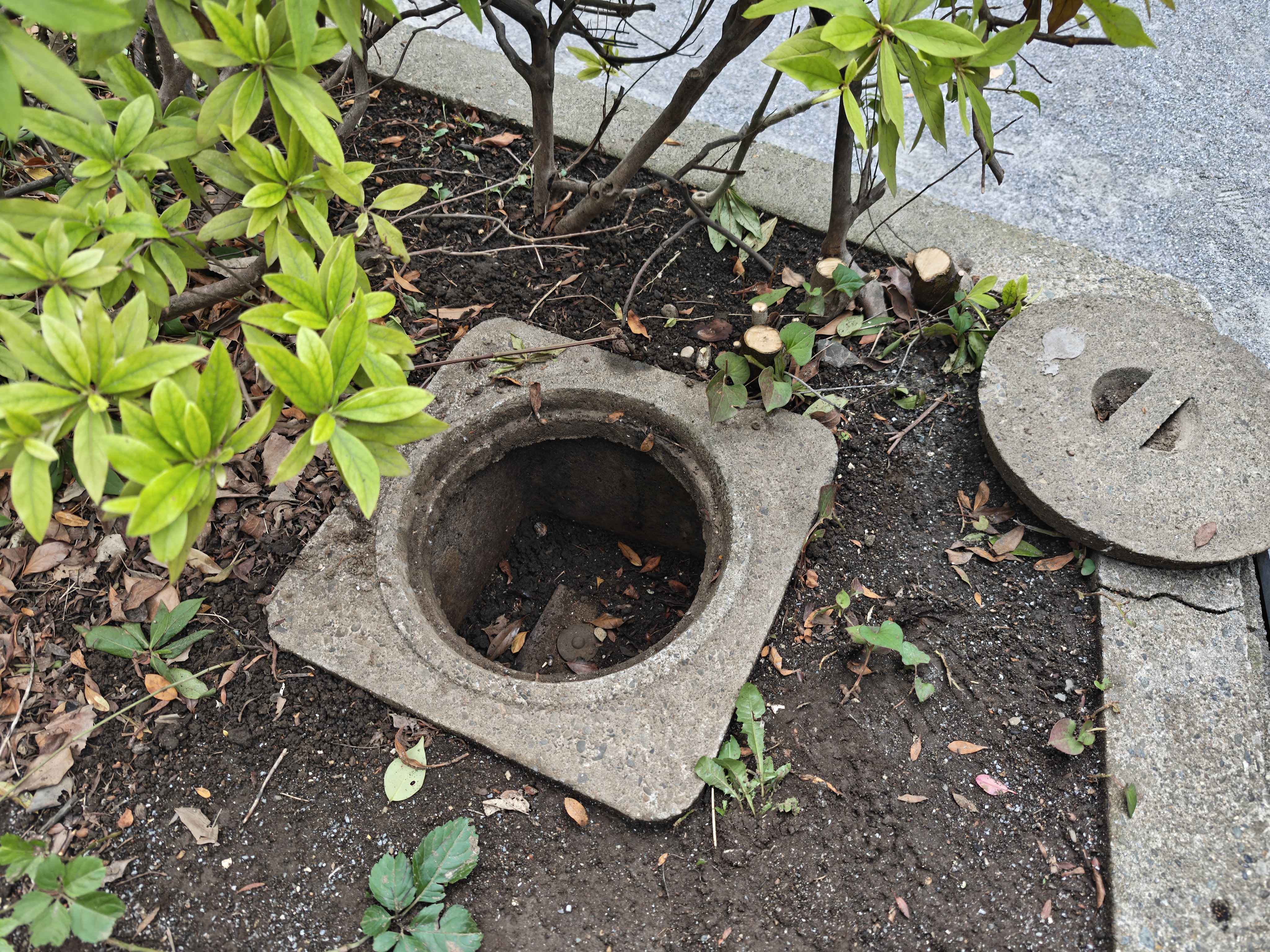 石蓋の下で確認された報酬の位置